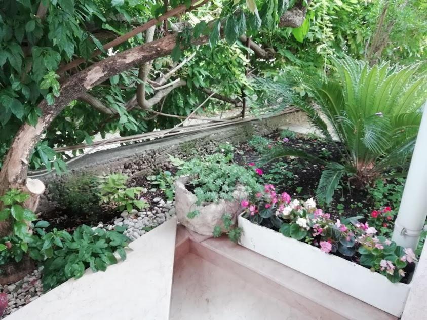 Apartmani Miki Podgora Luaran gambar
