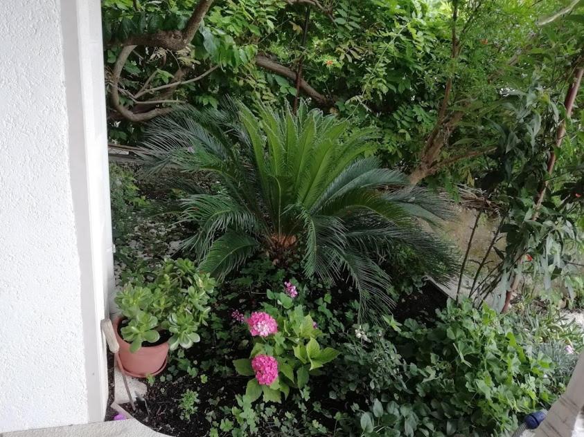 Apartmani Miki Podgora Luaran gambar